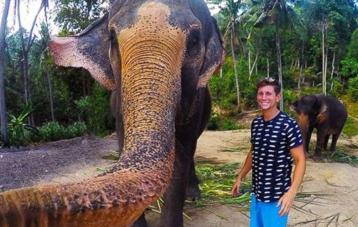 ___3797010___https:______static.pulse.com.gh___webservice___escenic___binary___3797010___2015___5___26___15___ht_animal_selfie_2_lb_150521_16x9_992