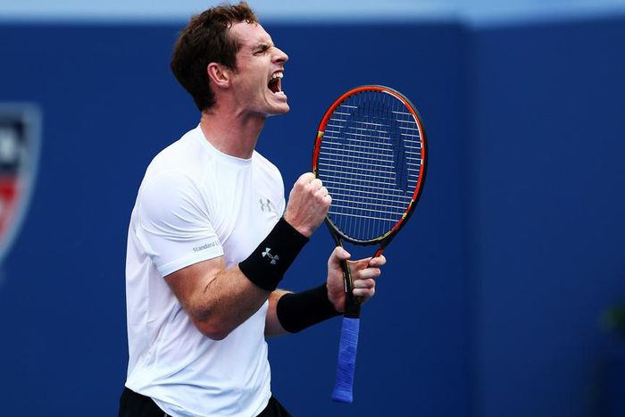 ___4135905___https:______static.pulse.com.gh___webservice___escenic___binary___4135905___2015___9___4___5___andymurray-cropped_st3vnlfo7r0612k1zr0r71km2