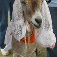 The Goat bride