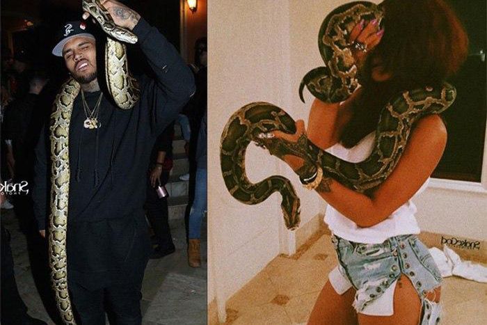 Different pictures showing the estranged lovers' playtime with the snakes at the party