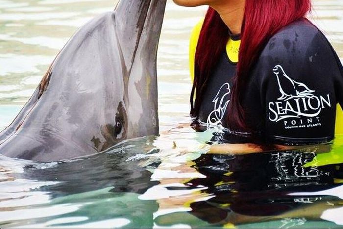 Tonto Dikeh kissing a dolphin