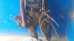 The fake soldier, Ayodele Adedeji