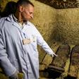 An archaeologist displays mummies laying in burial chambers dating to the Ptolemaic era (323-30 BC), in Egypt's Minya province on February 2, 2019