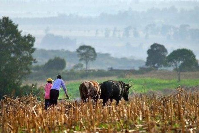 ___4235374___https:______static.pulse.com.gh___webservice___escenic___binary___4235374___2015___10___6___18___tumblr_inline_nmfjdvAjS01sgr685_500