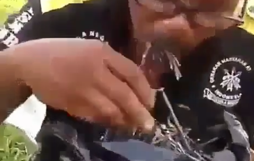 Nail eater