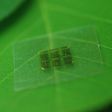 A prototype of the bio-degradable chip.