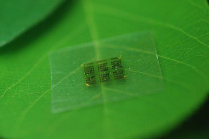 A prototype of the bio-degradable chip.