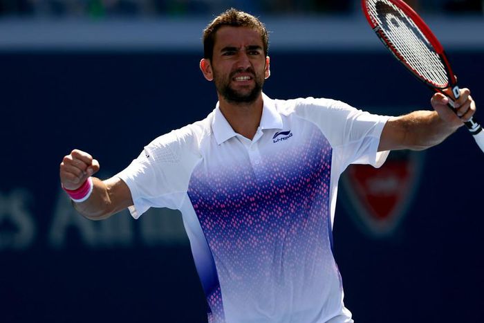 ___4142560___https:______static.pulse.com.gh___webservice___escenic___binary___4142560___2015___9___7___8___marincilic-cropped_63263pr1srir1mxtpiqa26sjx