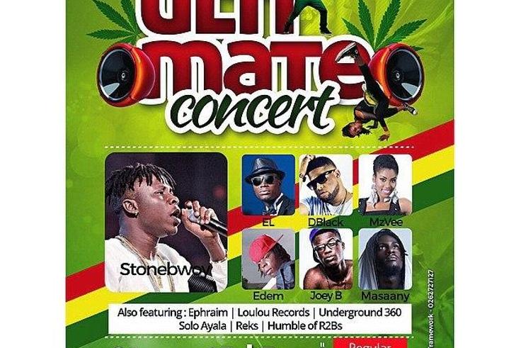 "Bhimnation Ultimate Concert"