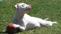 ___3869566___https:______static.pulse.com.gh___webservice___escenic___binary___3869566___2015___6___16___10___images