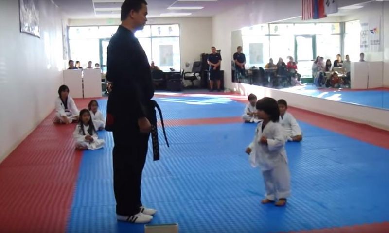 ___4067891___https:______static.pulse.com.gh___webservice___escenic___binary___4067891___2015___8___13___13___dp-little-boy-tries-to-break-board-taekwondo-video-20150810_1