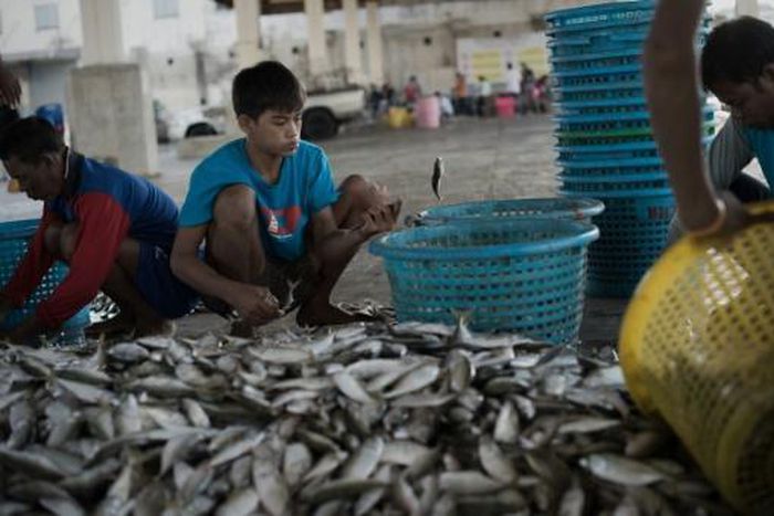 Thai fishermen strike over new rules imposed after EU's warning