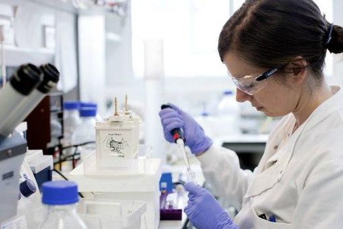 It is believed that people with cancer may have distinguished breath signs.