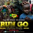 Stonebwoy - Run Go