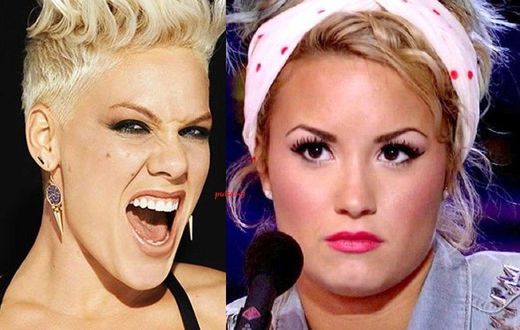 Pink clashes with Demi Lovato on Twitter