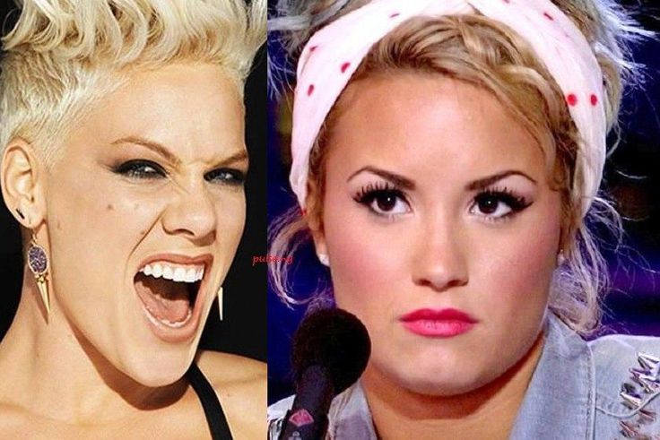 Pink clashes with Demi Lovato on Twitter