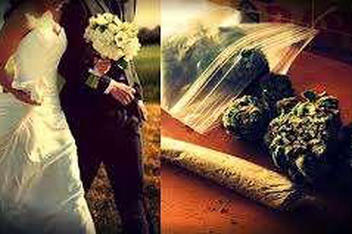 Rather than handing out alcoholic drinks at the outdoor reception, the man and wife hired a 'budtender' who presided over 13 hand-picked strains of cannabis by giving it to the guests.