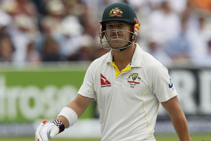 ___3980472___https:______static.pulse.com.gh___webservice___escenic___binary___3980472___2015___7___16___19___davidwarnercropped_ftqmk31fu5rn1nuiui7tztp62