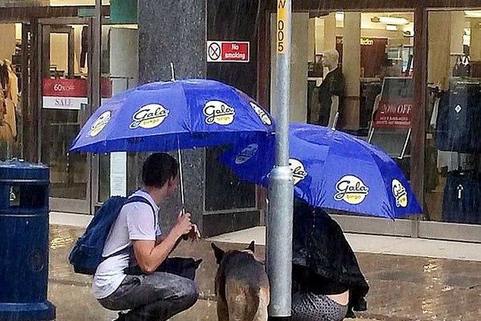 Couple get soaked to the skin helping a stranger's dog that was left in the rain