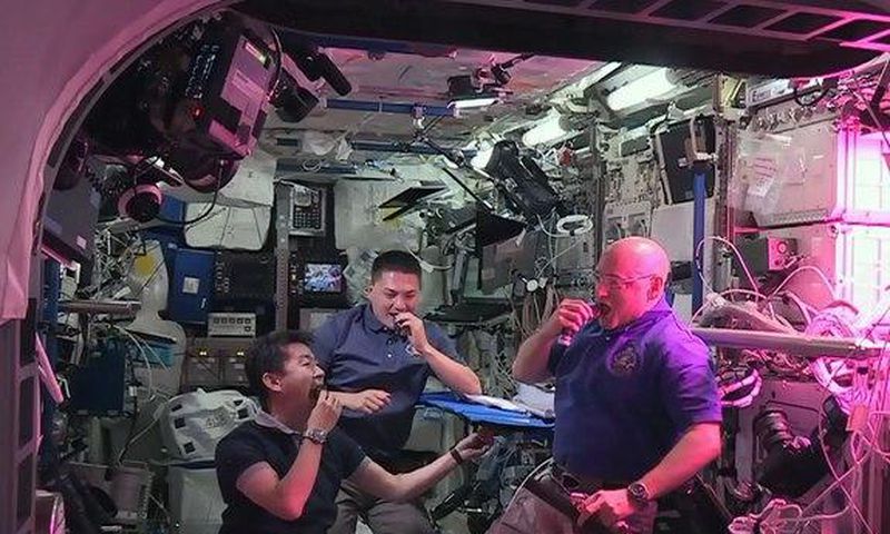 ___4079684___https:______static.pulse.com.gh___webservice___escenic___binary___4079684___2015___8___17___19___astronauts-space-grown-lettuce