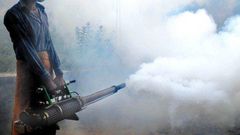 Parents' suicide over son's death forces Delhi to tackle dengue
