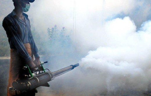Parents' suicide over son's death forces Delhi to tackle dengue