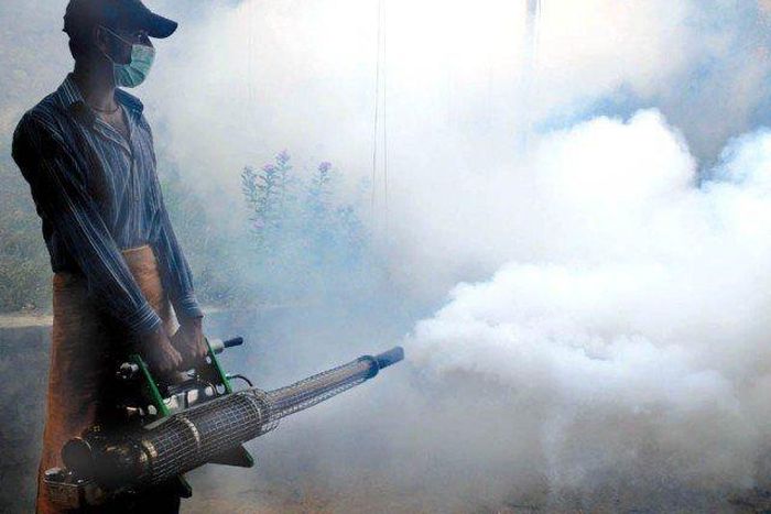 Parents' suicide over son's death forces Delhi to tackle dengue