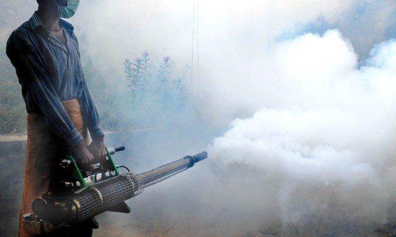 Parents' suicide over son's death forces Delhi to tackle dengue