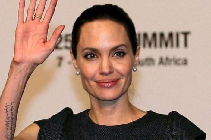Angelina Jolie at African Union Summit in South Africa