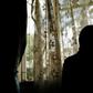 The 33-year-old woman says she was raped by two men