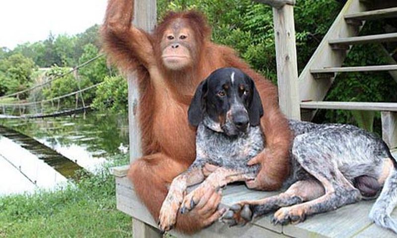 Good Relationship