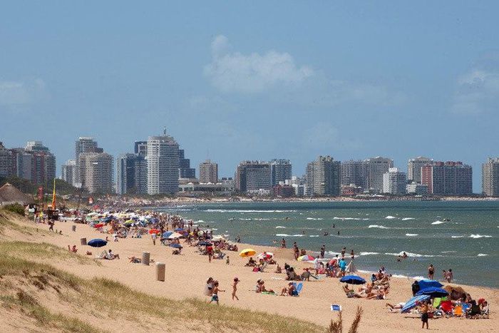 ___4201432___https:______static.pulse.com.gh___webservice___escenic___binary___4201432___2015___9___25___14___goonu-urug-GettyIm_3451544k_1