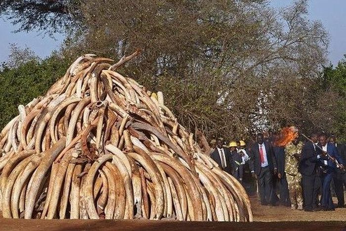 ___3944453___https:______static.pulse.com.gh___webservice___escenic___binary___3944453___2015___7___6___18____84091157_abdaa202-c3f8-4a3c-93f3-83be28fa2780