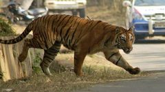 ___4088813___https:______static.pulse.com.gh___webservice___escenic___binary___4088813___2015___8___20___13___ec5b7c680e88105ad7ef2586d83a73ef_1