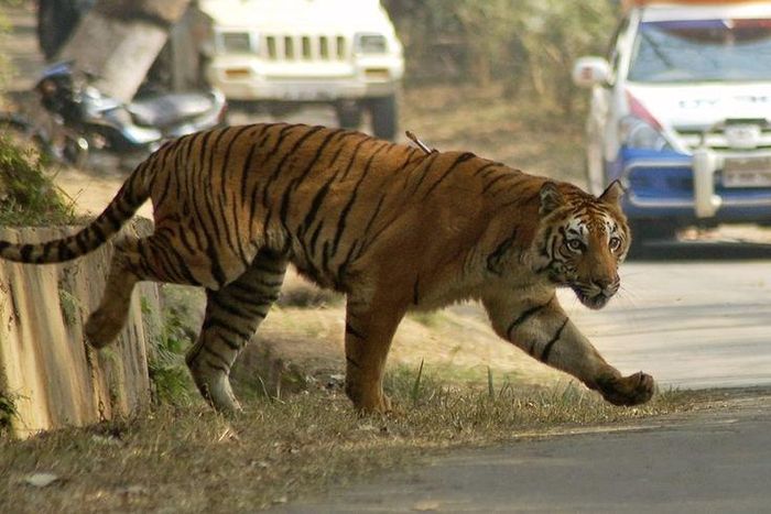 ___4088813___https:______static.pulse.com.gh___webservice___escenic___binary___4088813___2015___8___20___13___ec5b7c680e88105ad7ef2586d83a73ef_1