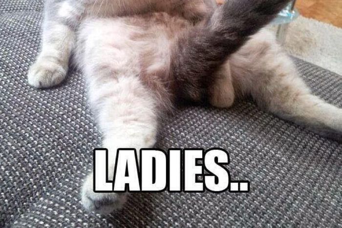 ___3794500___https:______static.pulse.com.gh___webservice___escenic___binary___3794500___2015___5___25___18___1b7d310d-638e-4518-8505-2315c7094122