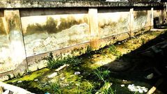 Part of the precincts of Circuit Court B is water logged leading to the growth of algae giving off a pungent smell