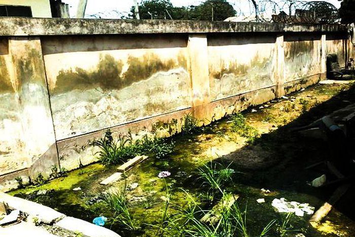 Part of the precincts of Circuit Court B is water logged leading to the growth of algae giving off a pungent smell