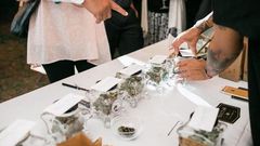 Guests browse the marijuana bar at the Elledge-Alexander wedding earlier this summer.