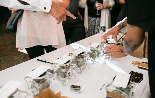 Guests browse the marijuana bar at the Elledge-Alexander wedding earlier this summer.