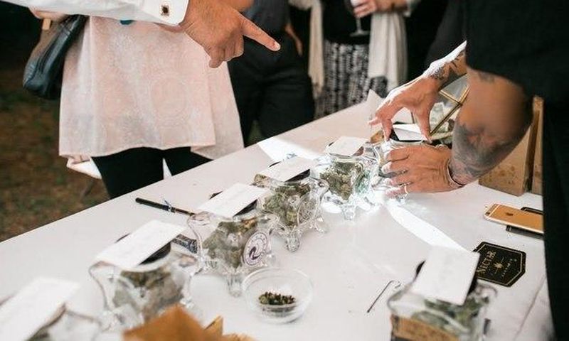 Guests browse the marijuana bar at the Elledge-Alexander wedding earlier this summer.