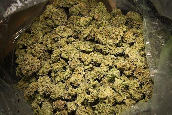 ___4249086___https:______static.pulse.com.gh___webservice___escenic___binary___4249086___2015___10___11___14___unnamed_3