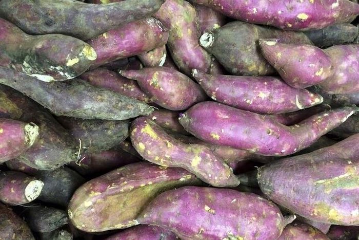 Sweet potato is displayed in a market in Recife June 30, 2014. REUTERS/Tony Gentile