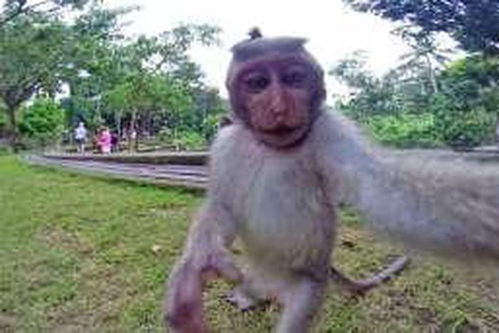 ___3883274___https:______static.pulse.com.gh___webservice___escenic___binary___3883274___2015___6___18___19___BBldEwj