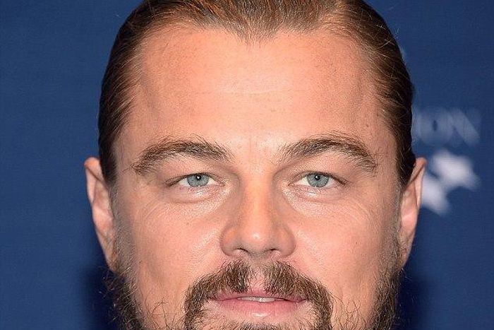 Leonardo DiCaprio currently rocking bushy beard