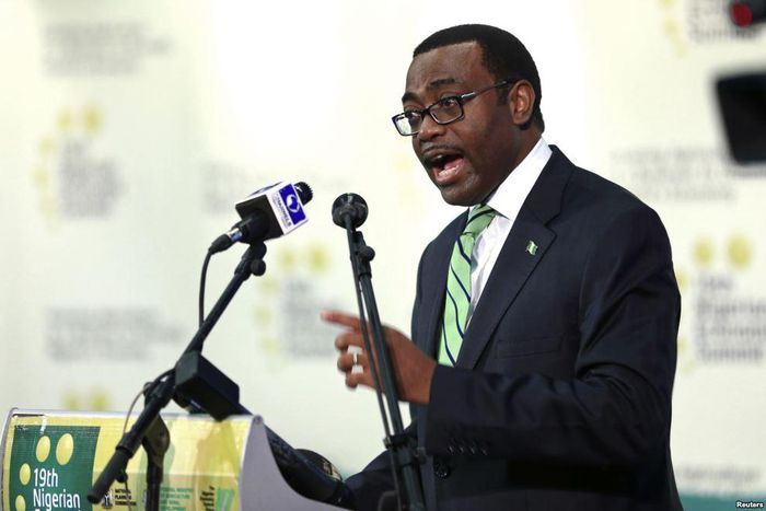 Akinwumi Adesina voted new President of the African Development Bank