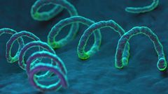 Syphilis, trypanosomiasis taxing to people living in tropics, says Consultant