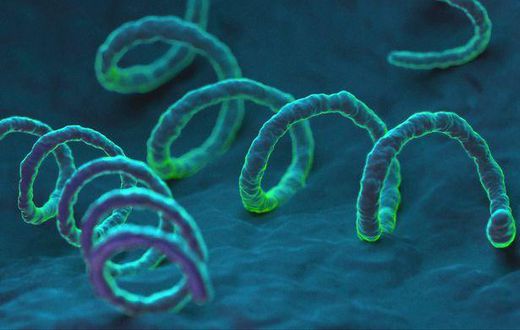 Syphilis, trypanosomiasis taxing to people living in tropics, says Consultant