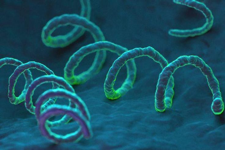 Syphilis, trypanosomiasis taxing to people living in tropics, says Consultant