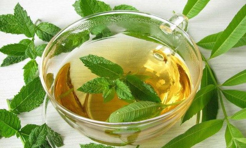 Homemade mint toner